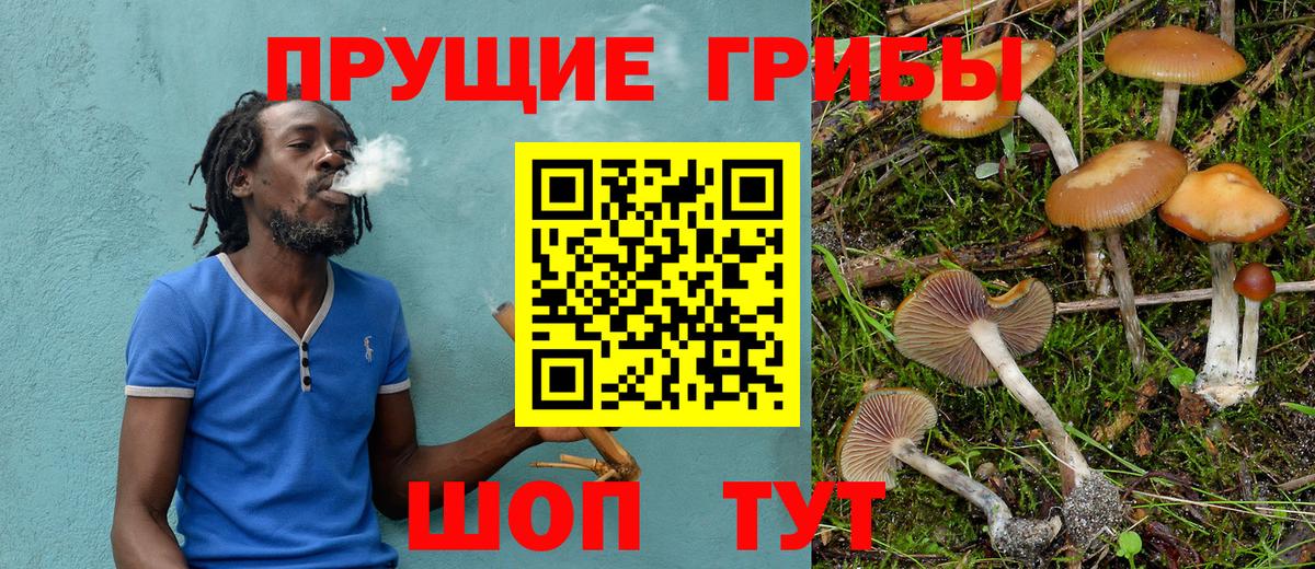 Галлюциногенные грибы мухоморы  Галлюциногенные грибы Psilocybe  Кстово  магазин продажи наркотиков  Вход с VPN 